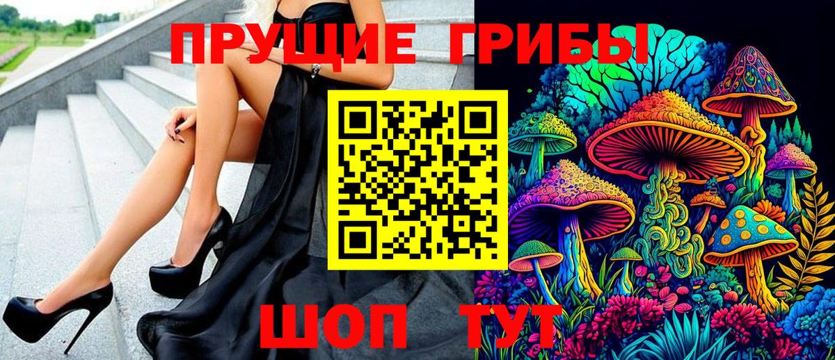 Галлюциногенные грибы Psilocybe  Вход с VPN  Лесосибирск 